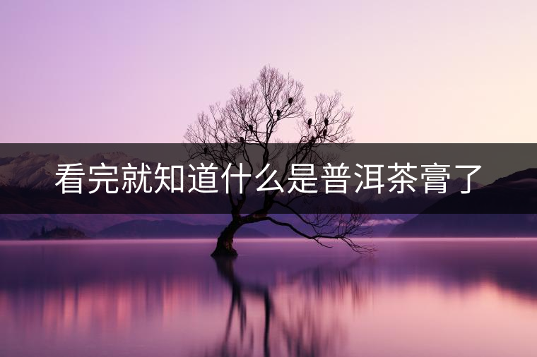 看完就知道什么是普洱茶膏了