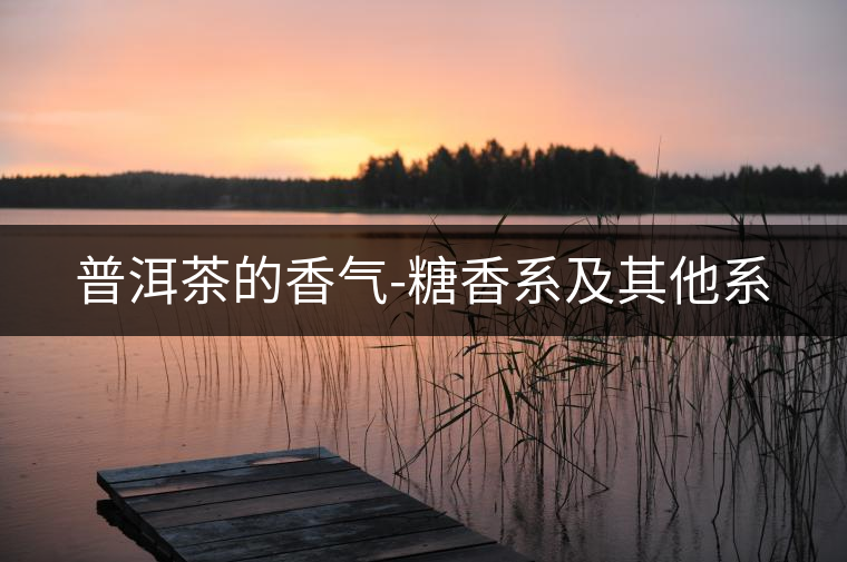 普洱茶的香氣-糖香系及其他系 普洱茶的香氣-糖香系及其他系