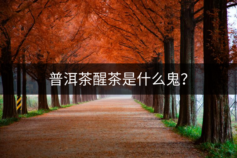 普洱茶醒茶是什么鬼？
