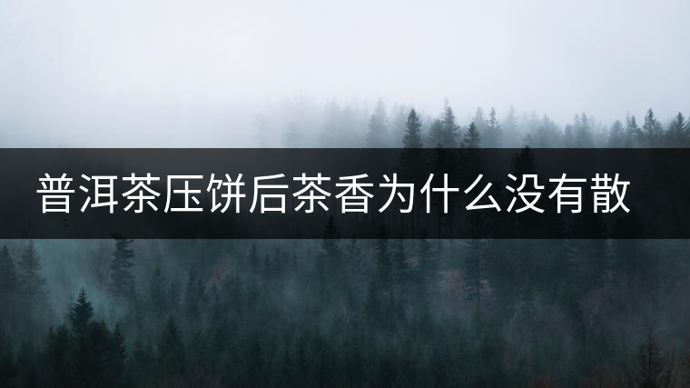 普洱茶壓餅后茶香為什么沒有散茶好? 普洱茶壓餅后茶香為什么沒有散茶好?