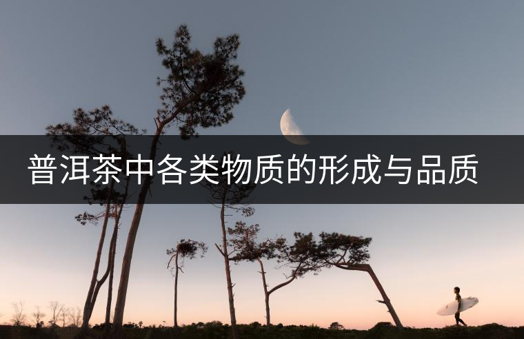 普洱茶中各類物質(zhì)的形成與品質(zhì)關(guān)系