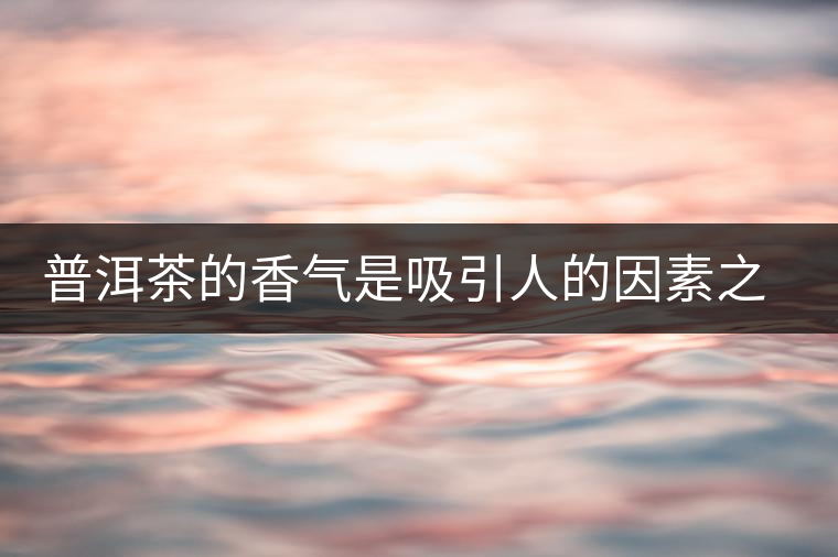 普洱茶的香氣是吸引人的因素之一