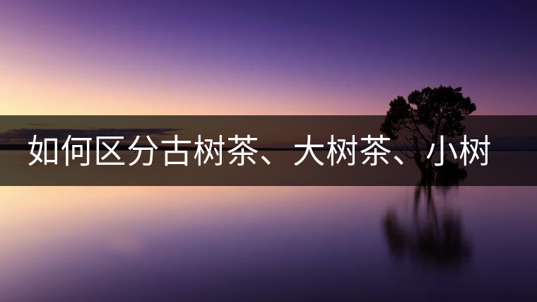如何區(qū)分古樹茶、大樹茶、小樹茶、臺(tái)樹茶？
