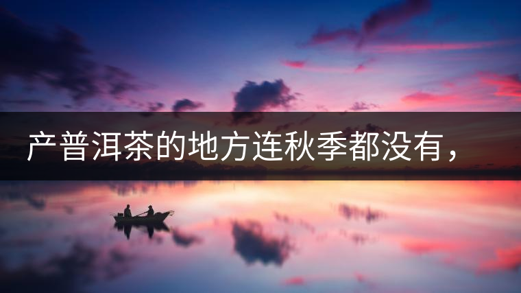 產(chǎn)普洱茶的地方連秋季都沒有，那到底哪來的秋茶？這是一篇科普貼