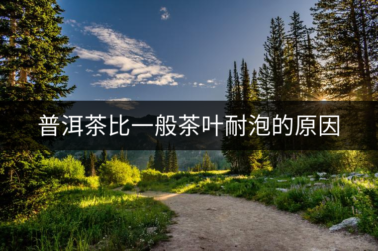 普洱茶比一般茶葉耐泡的原因 普洱茶比一般茶葉耐泡的原因
