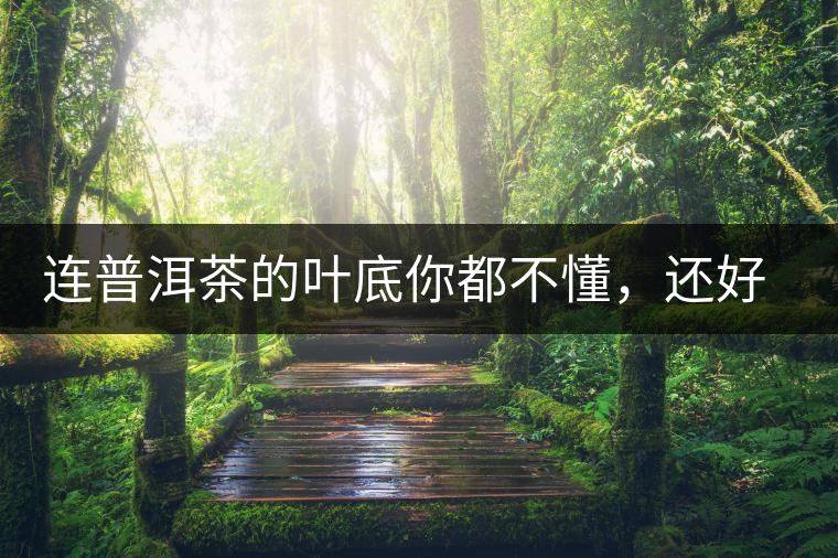連普洱茶的葉底你都不懂，還好意思說懂茶么？