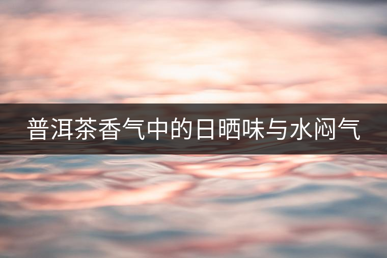 普洱茶香氣中的日曬味與水悶氣 普洱茶香氣中的日曬味與水悶氣