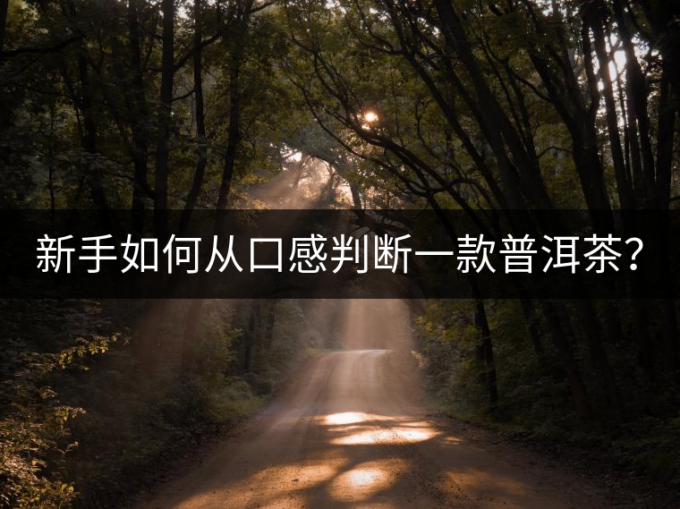 新手如何從口感判斷一款普洱茶？