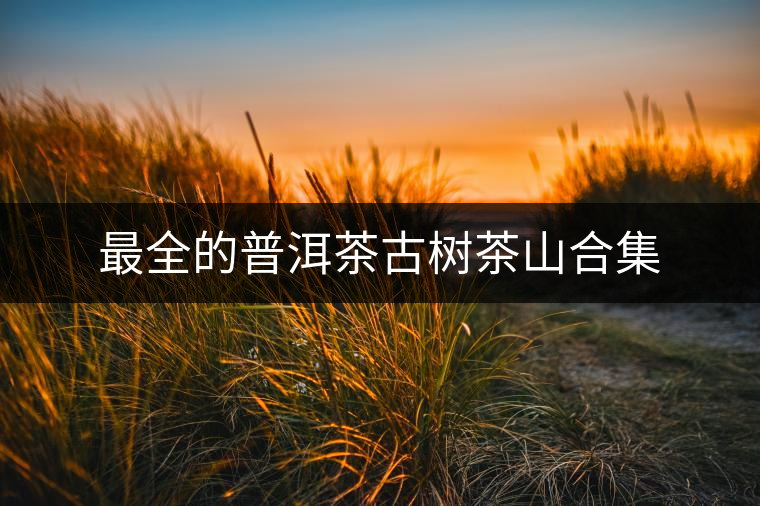 最全的普洱茶古樹茶山合集