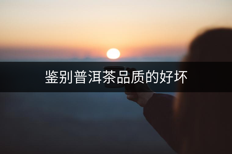 鑒別普洱茶品質(zhì)的好壞