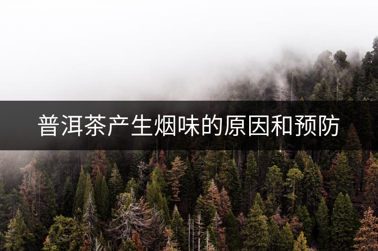 普洱茶產(chǎn)生煙味的原因和預防 普洱茶產(chǎn)生煙味的原因和預防