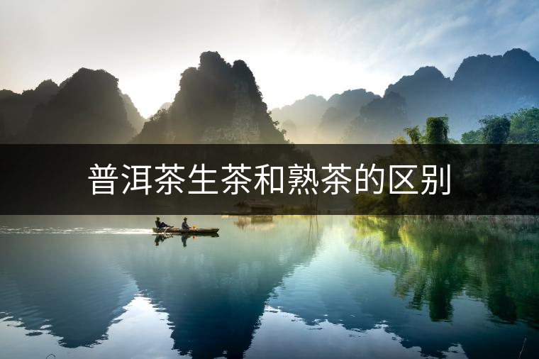 普洱茶生茶和熟茶的區(qū)別