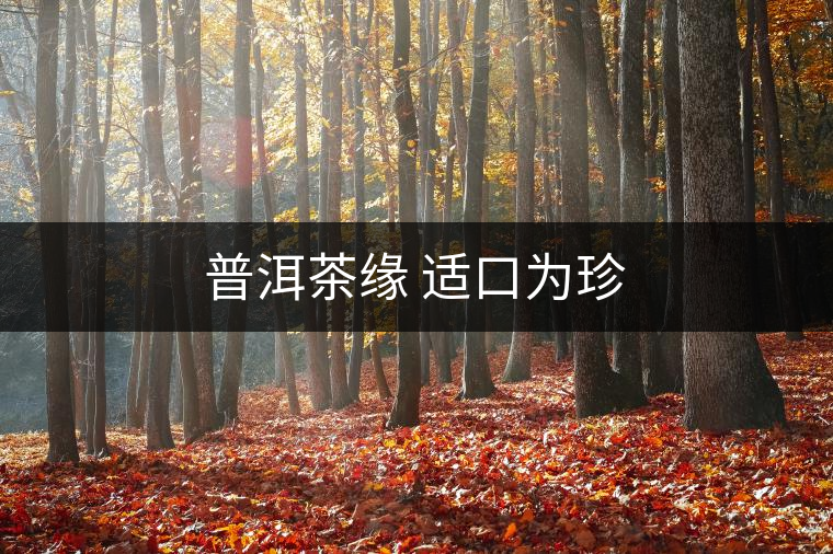 普洱茶緣 適口為珍