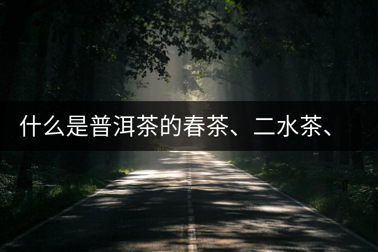 什么是普洱茶的春茶、二水茶、三水茶、四水茶