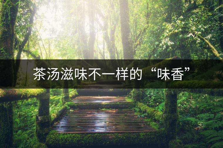 茶湯滋味不一樣的“味香”