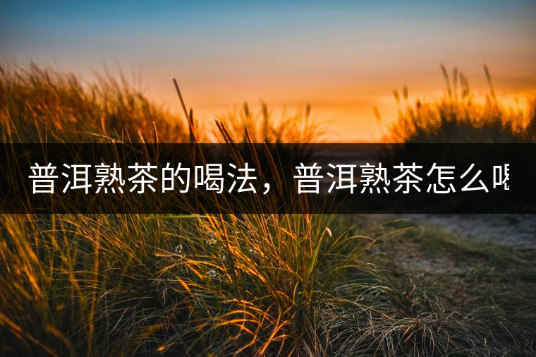 普洱熟茶的喝法，普洱熟茶怎么喝？