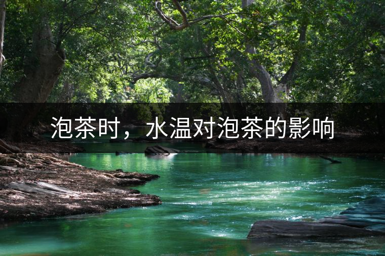 泡茶時，水溫對泡茶的影響