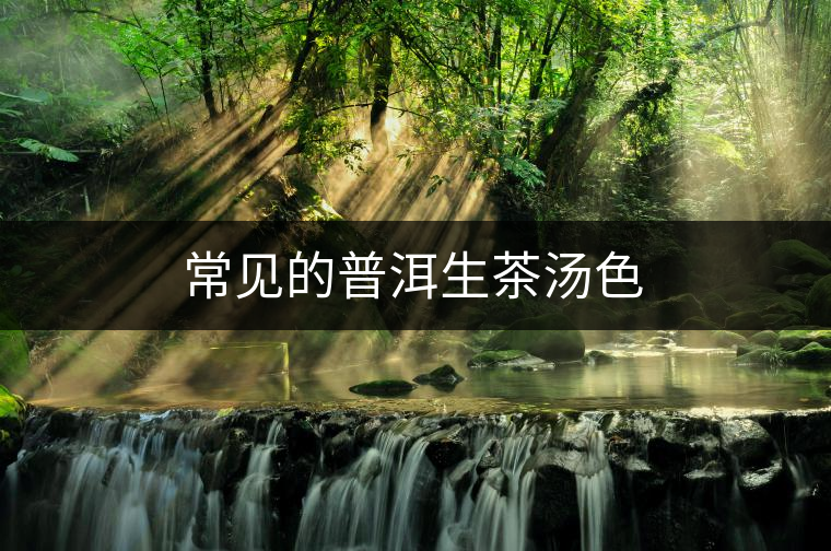 常見的普洱生茶湯色