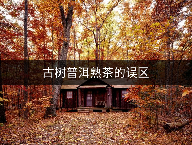 古樹(shù)普洱熟茶的誤區(qū)