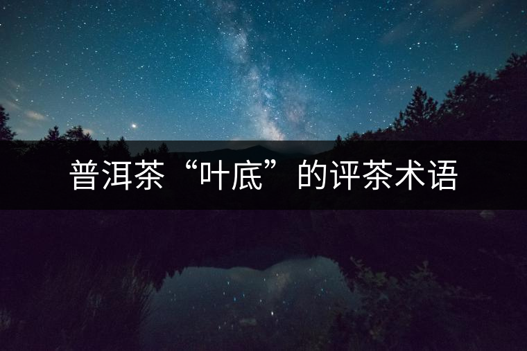 普洱茶“葉底”的評茶術(shù)語