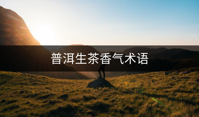 普洱生茶香氣術(shù)語(yǔ)