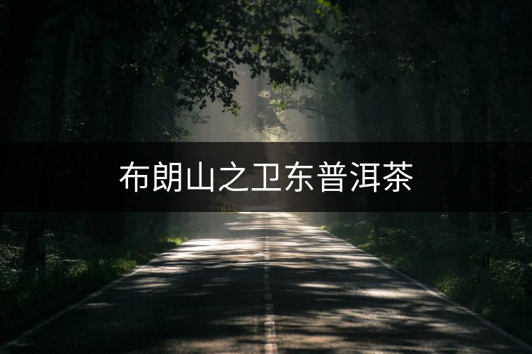 布朗山之衛(wèi)東普洱茶