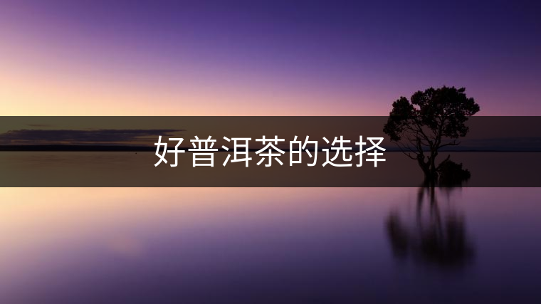 好普洱茶的選擇