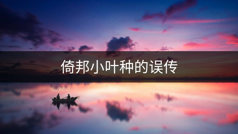 倚邦小葉種的誤傳