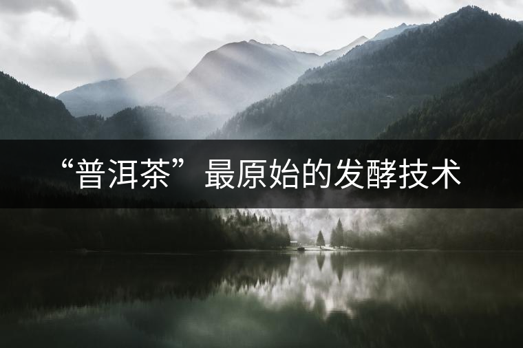 “普洱茶”最原始的發(fā)酵技術(shù) “普洱茶”最原始的發(fā)酵技術(shù)