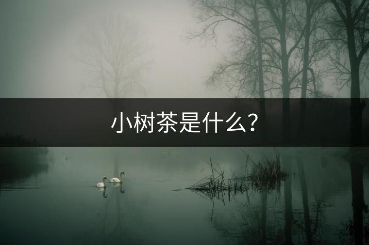 小樹(shù)茶是什么？