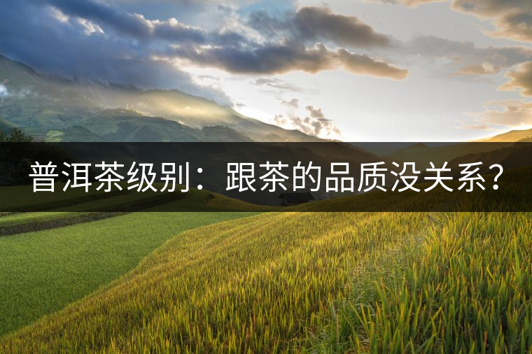 普洱茶級別：跟茶的品質(zhì)沒關(guān)系？