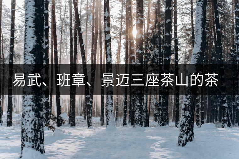 易武、班章、景邁三座茶山的茶比較