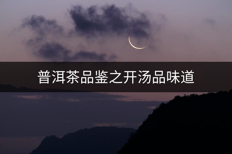 普洱茶品鑒之開(kāi)湯品味道