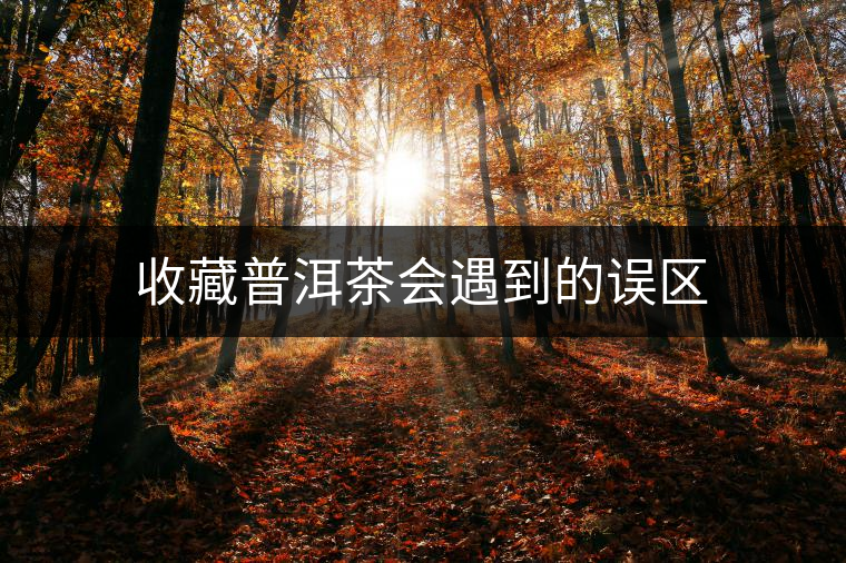 收藏普洱茶會遇到的誤區(qū) 收藏普洱茶會遇到的誤區(qū)