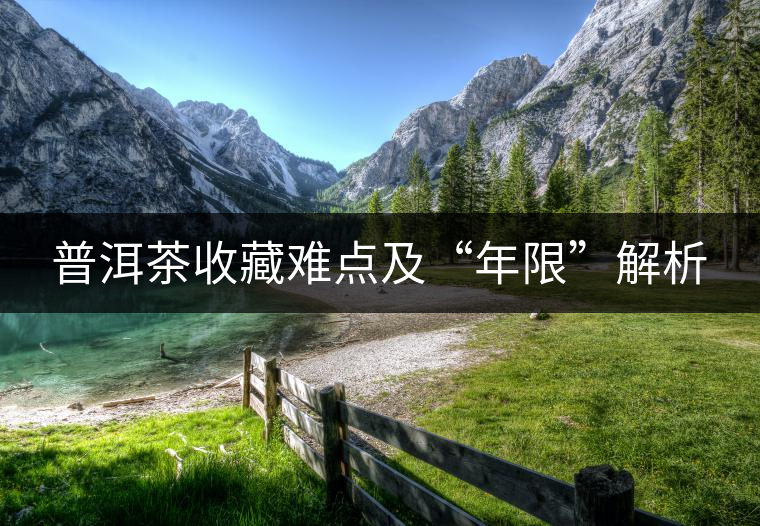 普洱茶收藏難點及“年限”解析