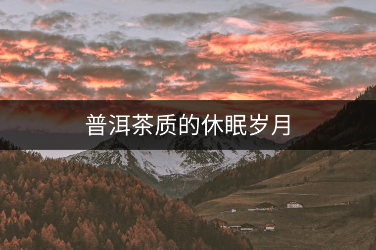 普洱茶質(zhì)的休眠歲月