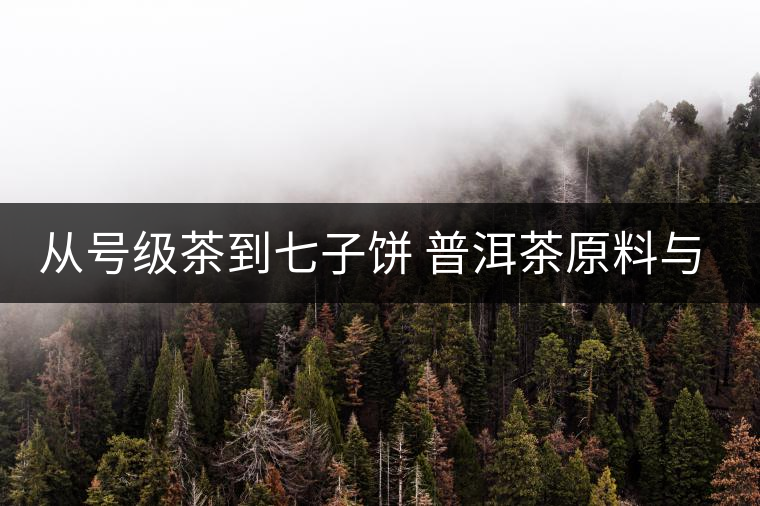從號級茶到七子餅 普洱茶原料與制程的演變 從號級茶到七子餅 普洱茶原料與制程的演變