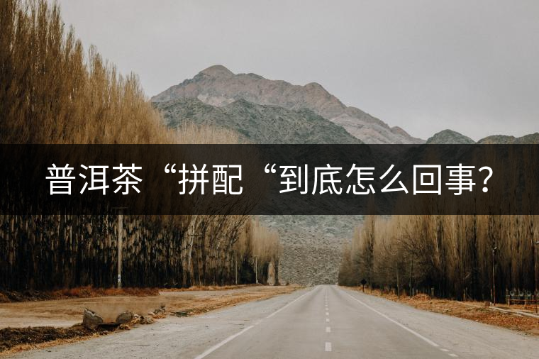普洱茶“拼配“到底怎么回事？