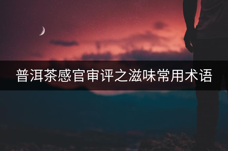 普洱茶感官審評之滋味常用術(shù)語