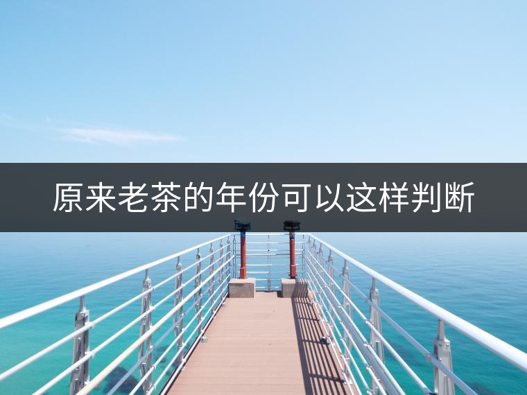 原來老茶的年份可以這樣判斷