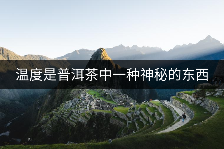 溫度是普洱茶中一種神秘的東西