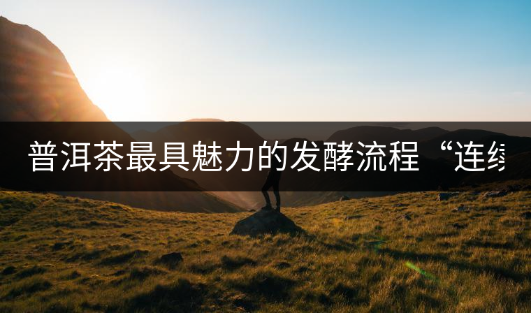 普洱茶最具魅力的發(fā)酵流程“連續(xù)發(fā)酵”