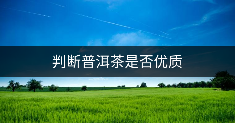 判斷普洱茶是否優(yōu)質(zhì)