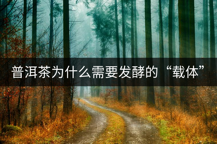 普洱茶為什么需要發(fā)酵的“載體”？