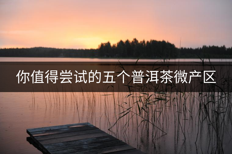 你值得嘗試的五個普洱茶微產(chǎn)區(qū)