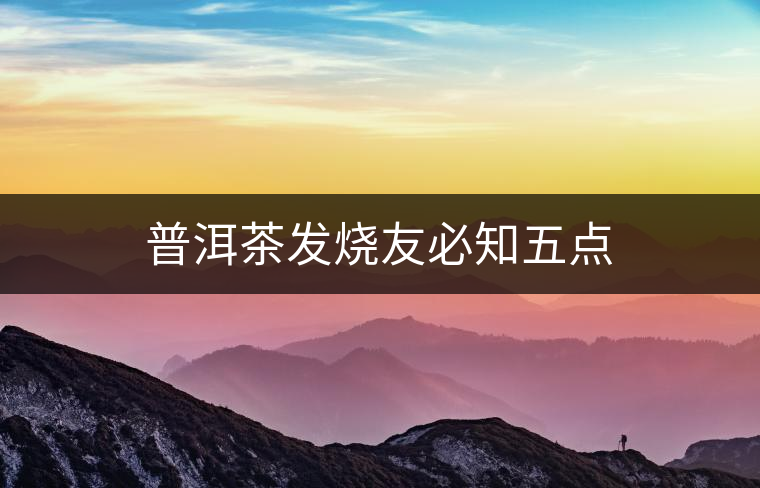 普洱茶發(fā)燒友必知五點(diǎn)