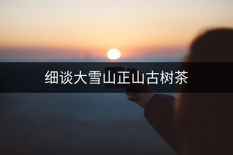 細(xì)談大雪山正山古樹茶