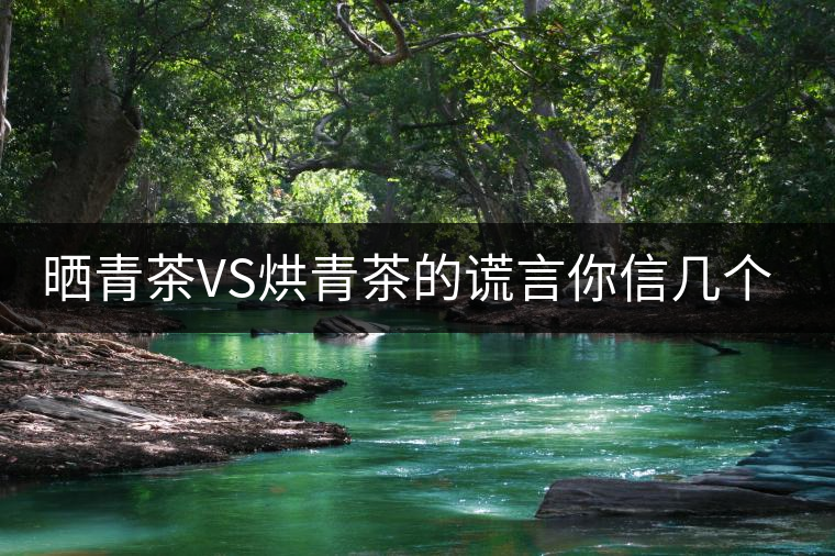曬青茶VS烘青茶的謊言你信幾個？