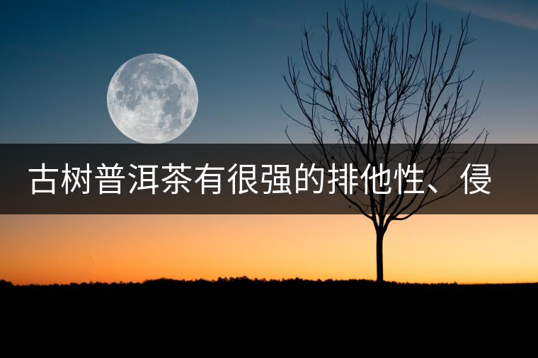 古樹普洱茶有很強的排他性、侵略性、吸納性