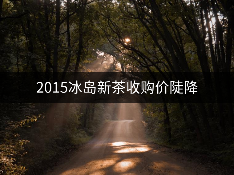 2015冰島新茶收購(gòu)價(jià)陡降